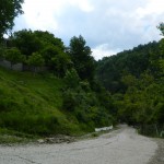 Andreiasu de Jos - Focul Viu 01