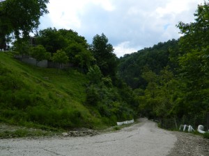 Andreiasu de Jos - Focul Viu 01