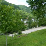 Andreiasu de Jos - Focul Viu 03