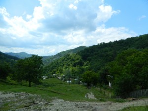 Andreiasu de Jos - Focul Viu 07