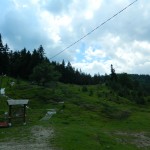 Andreiasu de Jos - Focul Viu 08