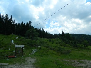 Andreiasu de Jos - Focul Viu 08