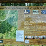 Andreiasu de Jos - Focul Viu 09