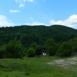 Andreiasu de Jos - Focul Viu 11