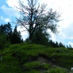 Andreiasu de Jos - Focul Viu 12