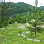 Andreiasu de Jos - Focul Viu 13