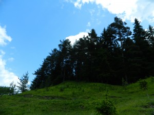 Andreiasu de Jos - Focul Viu 14