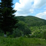 Andreiasu de Jos - Focul Viu 18