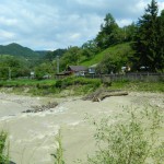 Andreiasu de Jos - Focul Viu 31