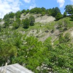 Andreiasu de Jos - Focul Viu 32