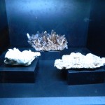 Muzeul Poni-Cernatescu 02