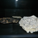 Muzeul Poni-Cernatescu 09