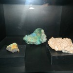 Muzeul Poni-Cernatescu 13