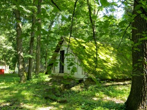 Muzeul Satului - Petresti 05