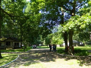 Muzeul Satului - Petresti 08