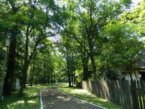 Muzeul Satului - Petresti 09