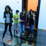 Palatul Culturii - Muzeul de Istorie 04