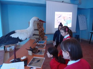 vestitorii primaverii