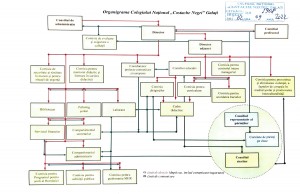 Organigrama